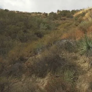 Aspen Brooks OnlyFans Leaked Free Thumbnail Picture - #FXLi5hCVJ0