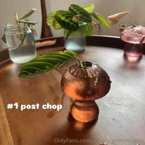 Aspencgreenthumb OnlyFans Leaked Free Thumbnail Picture - #5q4JIsv4cD