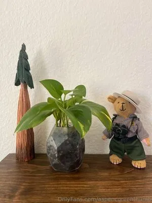 Aspencgreenthumb OnlyFans Leaked Free Thumbnail Picture - #9nwSt39ENw