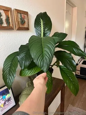 Aspencgreenthumb OnlyFans Leaked Free Thumbnail Picture - #A9dAypIDhB