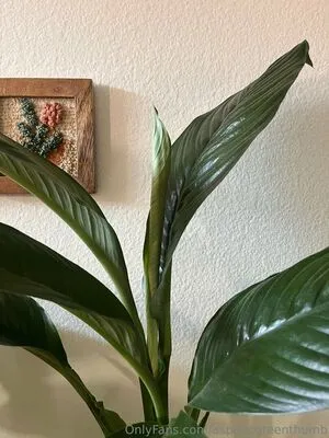 Aspencgreenthumb OnlyFans Leaked Free Thumbnail Picture - #FuZsYC08ge