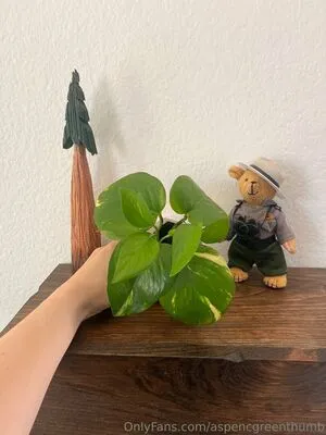 Aspencgreenthumb OnlyFans Leaked Free Thumbnail Picture - #IzoU914Bxd