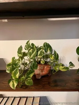 Aspencgreenthumb OnlyFans Leaked Free Thumbnail Picture - #L2zqtiznuw