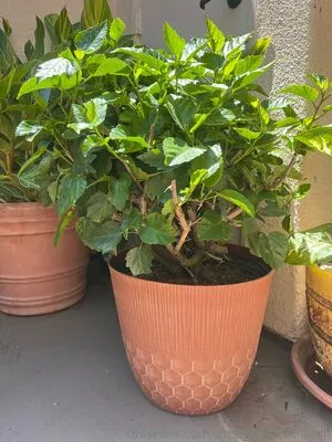 Aspencgreenthumb OnlyFans Leaked Free Thumbnail Picture - #Nb2QR122Fe