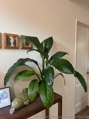 Aspencgreenthumb OnlyFans Leaked Free Thumbnail Picture - #SCUNyv37Pt