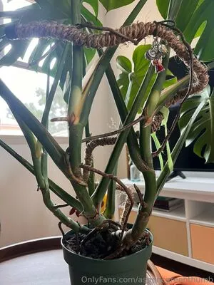 Aspencgreenthumb OnlyFans Leaked Free Thumbnail Picture - #bbwgmfxcM1