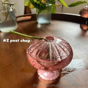 Aspencgreenthumb OnlyFans Leaked Free Thumbnail Picture - #bdoHMhbCcV