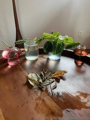 Aspencgreenthumb OnlyFans Leaked Free Thumbnail Picture - #fHrboSTZiq
