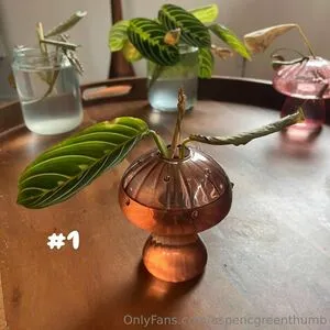 Aspencgreenthumb OnlyFans Leaked Free Thumbnail Picture - #sUvGeWJqzH