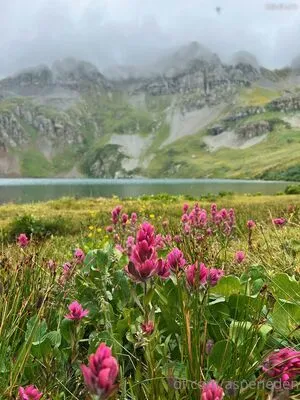 Aspeneden OnlyFans Leaked Free Thumbnail Picture - #LQAHTjcN3y