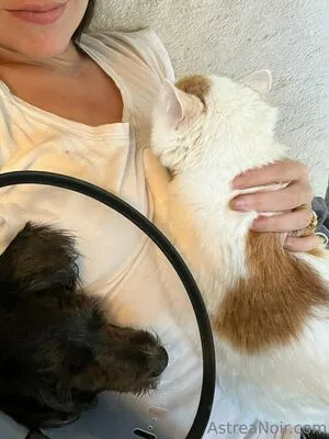 Astreanoir OnlyFans Leaked Free Thumbnail Picture - #aVov2QV1oP