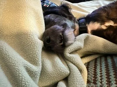 Astreanoir OnlyFans Leaked Free Thumbnail Picture - #iAJkdSLg22