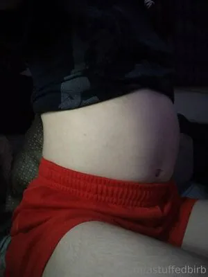 Astuffedbirb OnlyFans Leaked Free Thumbnail Picture - #KF4POnbMrI