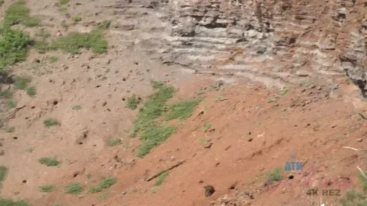 Atk Network OnlyFans Leaked Free Thumbnail Picture - #KCehseujDl