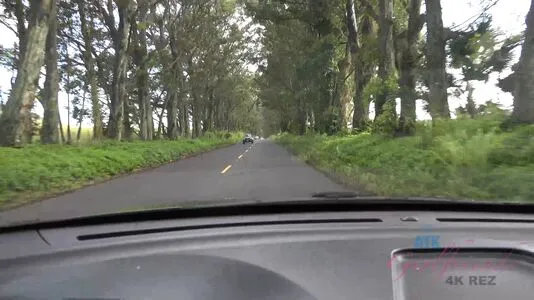 Atk Network OnlyFans Leaked Free Thumbnail Picture - #bVzMH24oZL