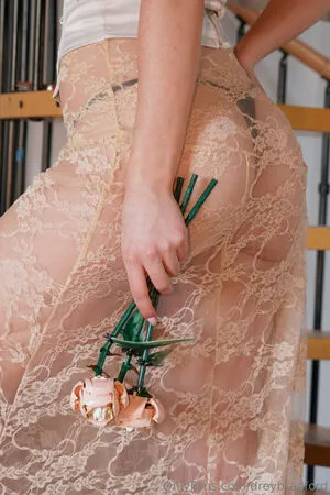 Audrey Bradford OnlyFans Leaked Free Thumbnail Picture - #NWSLkebuIa