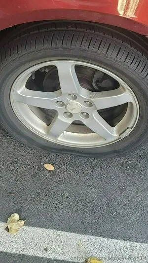 Aurorakitten14 OnlyFans Leaked Free Thumbnail Picture - #0Hc9eig5Ch