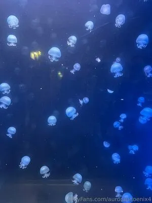 Auroraphoenix4 OnlyFans Leaked Free Thumbnail Picture - #97kvSBX2sc