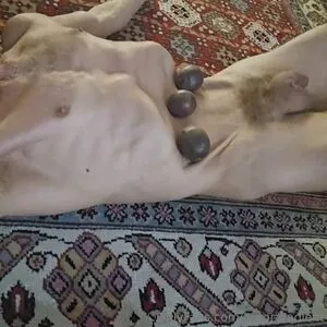 Auroraradient OnlyFans Leaked Free Thumbnail Picture - #fDVq6XjGYg