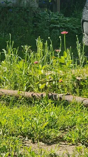 Autumnbuttons OnlyFans Leaked Free Thumbnail Picture - #OlHYSCCoAX