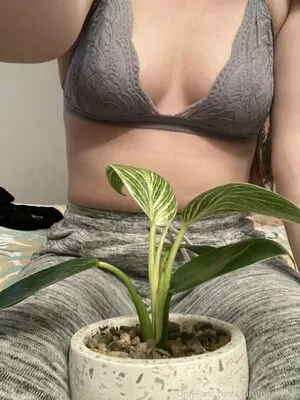 Autumnskyexo OnlyFans Leaked Free Thumbnail Picture - #l4MDAA0zvz