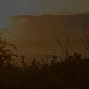 Ava Little OnlyFans Leaked Free Thumbnail Picture - #8UCZlE5Aj9