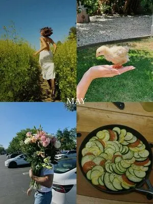 Ava Michelle OnlyFans Leaked Free Thumbnail Picture - #yjIyVucv52