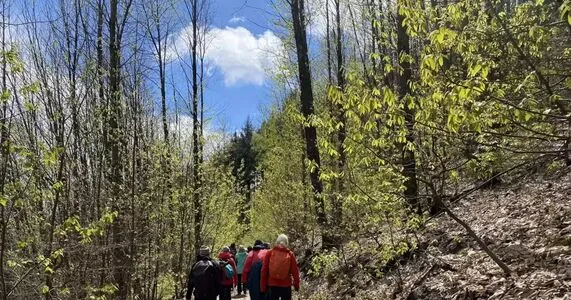 Avivafox OnlyFans Leaked Free Thumbnail Picture - #JRCuvADar1