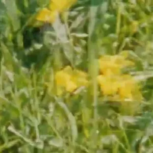 Avril Pilot OnlyFans Leaked Free Thumbnail Picture - #UaJzHOnLkU