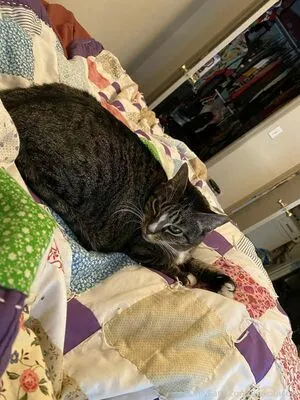 Awkotacogf OnlyFans Leaked Free Thumbnail Picture - #Iq0ZY9dGWd