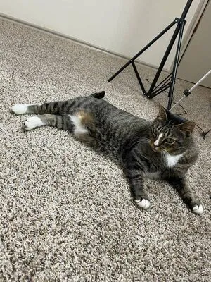 Awkotacogf OnlyFans Leaked Free Thumbnail Picture - #kfKfpTUkY8