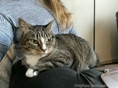 Awkotacogf OnlyFans Leaked Free Thumbnail Picture - #soN39vZe6V