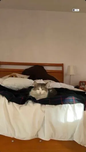 Aydee Cruz OnlyFans Leaked Free Thumbnail Picture - #6aOXGhUQML