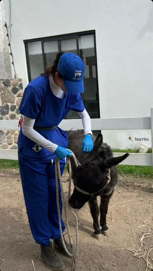 Aydee Cruz OnlyFans Leaked Free Thumbnail Picture - #kbOOErxdG1