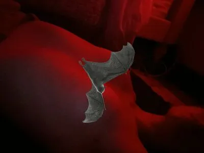 B1tchy Lesbian OnlyFans Leaked Free Thumbnail Picture - #VR4xzCebOW