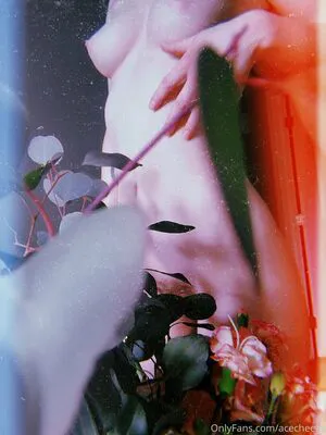 B4insanity OnlyFans Leaked Free Thumbnail Picture - #23AC0OLxCi