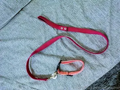 Babylatinxl OnlyFans Leaked Free Thumbnail Picture - #2pOJ2jViFB