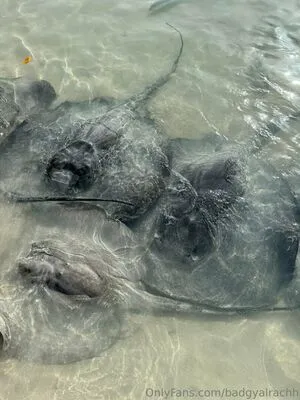 Badgyalrachh OnlyFans Leaked Free Thumbnail Picture - #E3WJi3CdjU