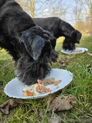 Baebaezoe OnlyFans Leaked Free Thumbnail Picture - #XLMqt4knMi