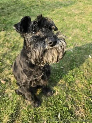 Baebaezoe OnlyFans Leaked Free Thumbnail Picture - #YR7C014Nvp