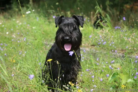 Baebaezoe OnlyFans Leaked Free Thumbnail Picture - #Yz25GoKRYm