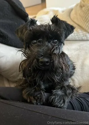 Baebaezoe OnlyFans Leaked Free Thumbnail Picture - #bR7L0UjiPi