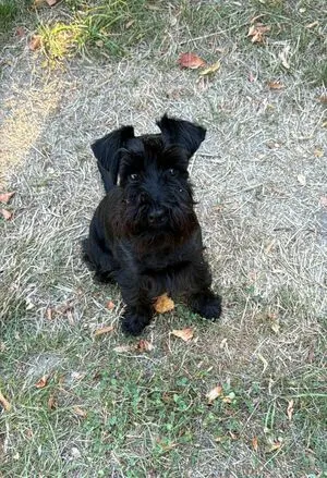 Baebaezoe OnlyFans Leaked Free Thumbnail Picture - #c2uvnz0q1s