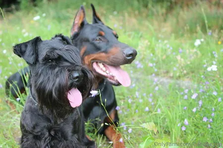 Baebaezoe OnlyFans Leaked Free Thumbnail Picture - #d8jfsAM5XZ