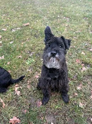 Baebaezoe OnlyFans Leaked Free Thumbnail Picture - #jX3E1ltct2