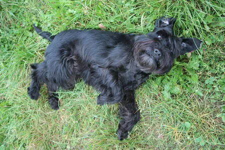 Baebaezoe OnlyFans Leaked Free Thumbnail Picture - #k5NnZTF2Ia