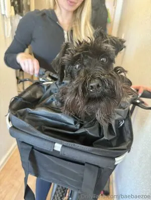 Baebaezoe OnlyFans Leaked Free Thumbnail Picture - #oUBkC5LbRv