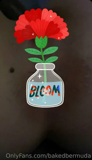 Bakedbermuda OnlyFans Leaked Free Thumbnail Picture - #YFMDGyRYf3