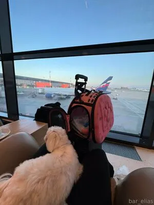 Bar Elias OnlyFans Leaked Free Thumbnail Picture - #vZkcsgziVd