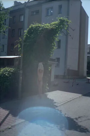 Barvard OnlyFans Leaked Free Thumbnail Picture - #1jcqOe1KhG